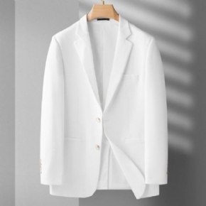 Blazer Sport Manteau Homme Grande Taille Décontracté Deux Boutons Fente Arrière