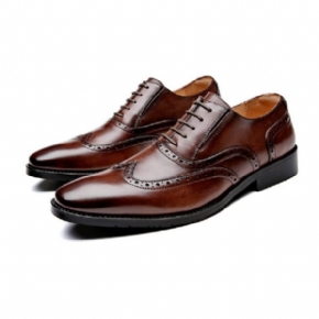 Chaussures Habillées Sculptées Brogue Pour Hommes Cuir Vache À 5 Œillets Respirantes