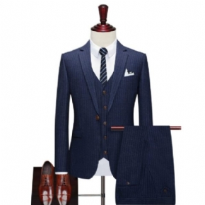 Costume 3 Pièces Pour Hommes Motif À Rayures Un Bouton Élégant Formel Slim