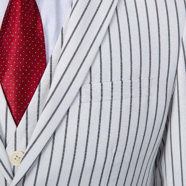 Costume 3 Pièces Pour Hommes Vêtements Formels Minces Motif À Rayures Deux Boutons - Blanc