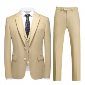 Costume 3 Pièces Pour Hommes Vêtements Formels Motif À Rayures Simple Boutonnage Deux Boutons Élégant